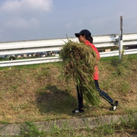 2017年7月16日実施 3回目の清掃活動
